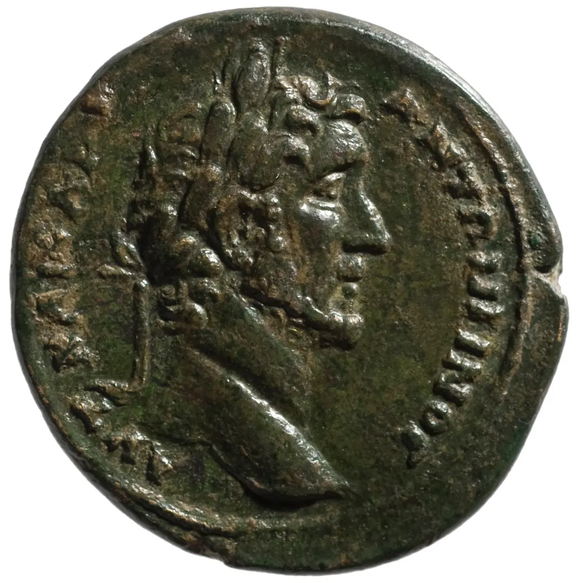 Amastris: Antoninus Pius