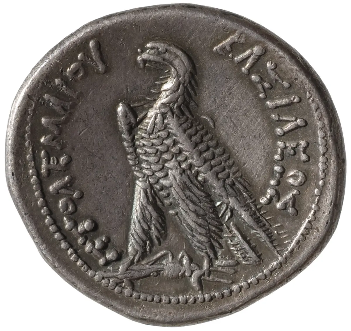 Ptolemäer: Ptolemaios VIII.