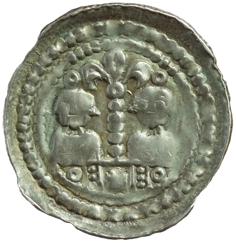 Herzöge von Kärnten / Herren von Krain: Bernhard (1202–1256)