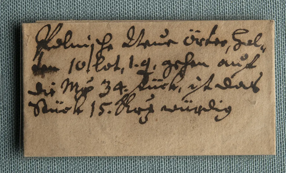 Polen: Johann II. Kasimir