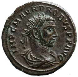 Probus