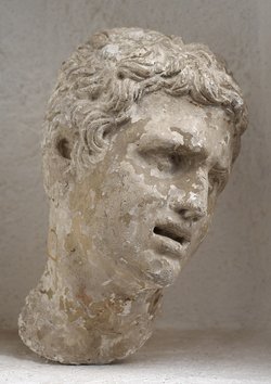 Sohn des Laokoon (Laocoon), Büste, Kopf, Porträtbüste, Porträtkopf