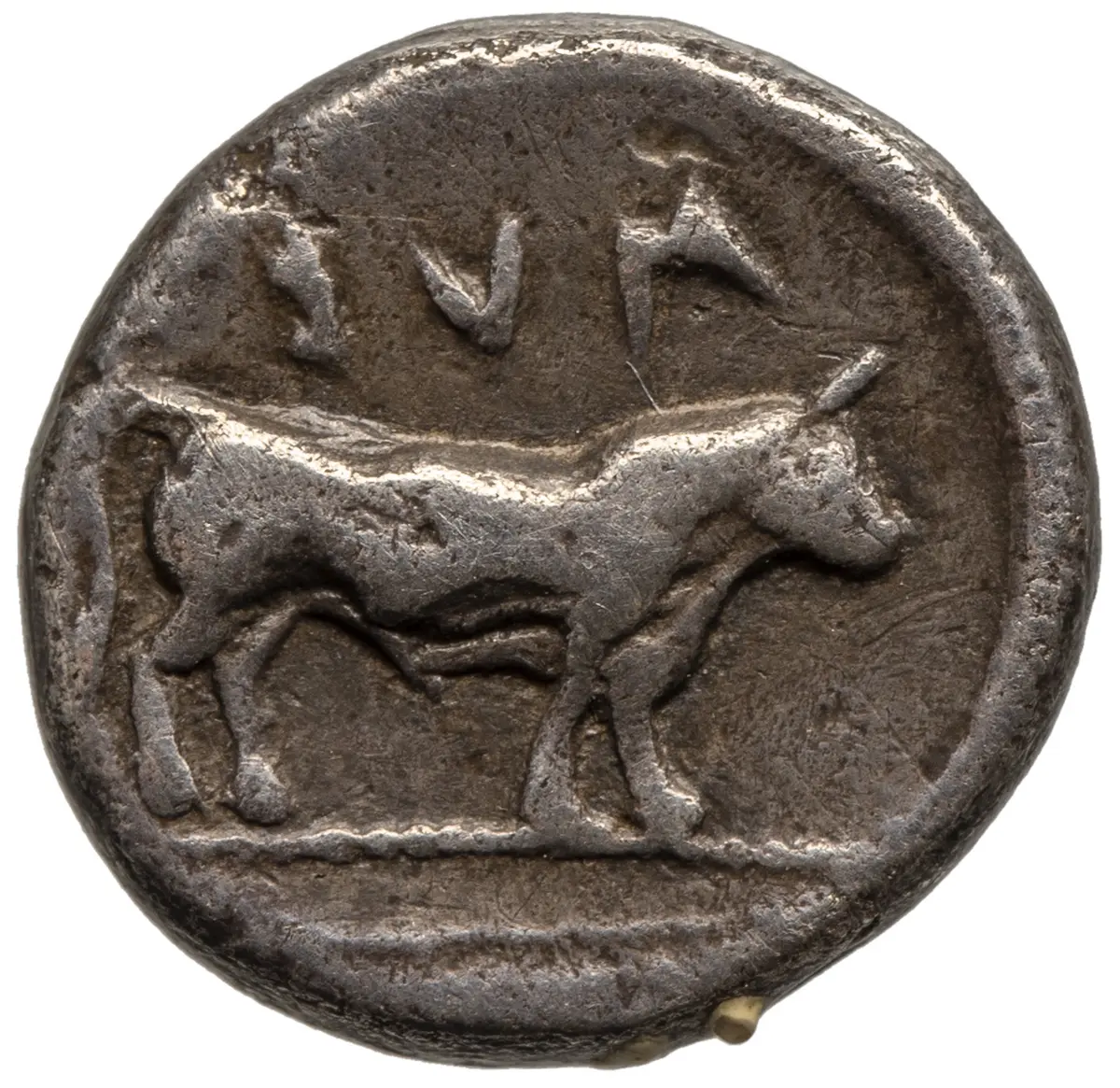 Sybaris