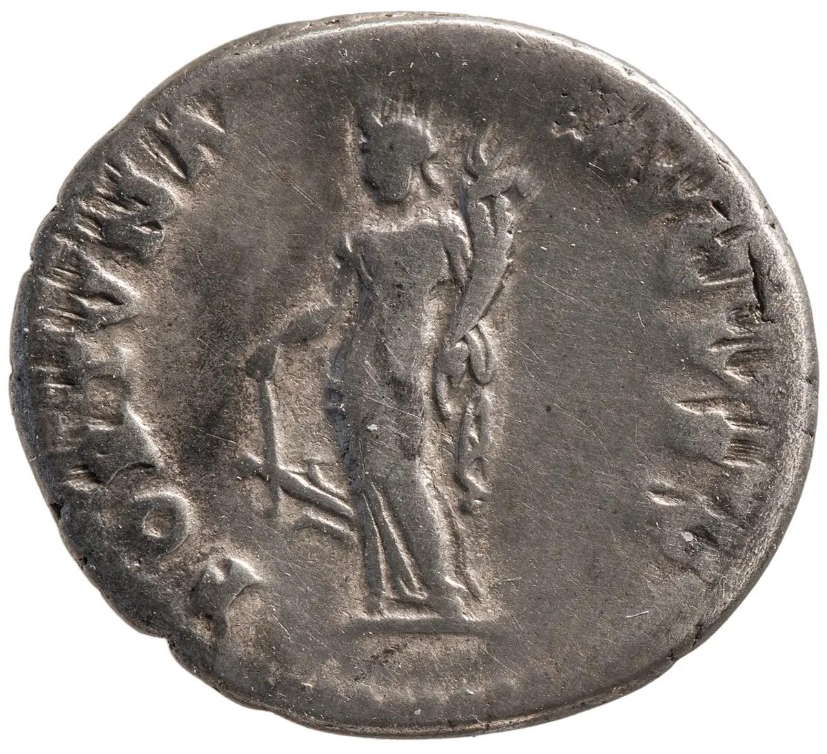 Diva Domitilla