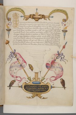 Schriftmusterbuch; 127 Blatt Pergament
