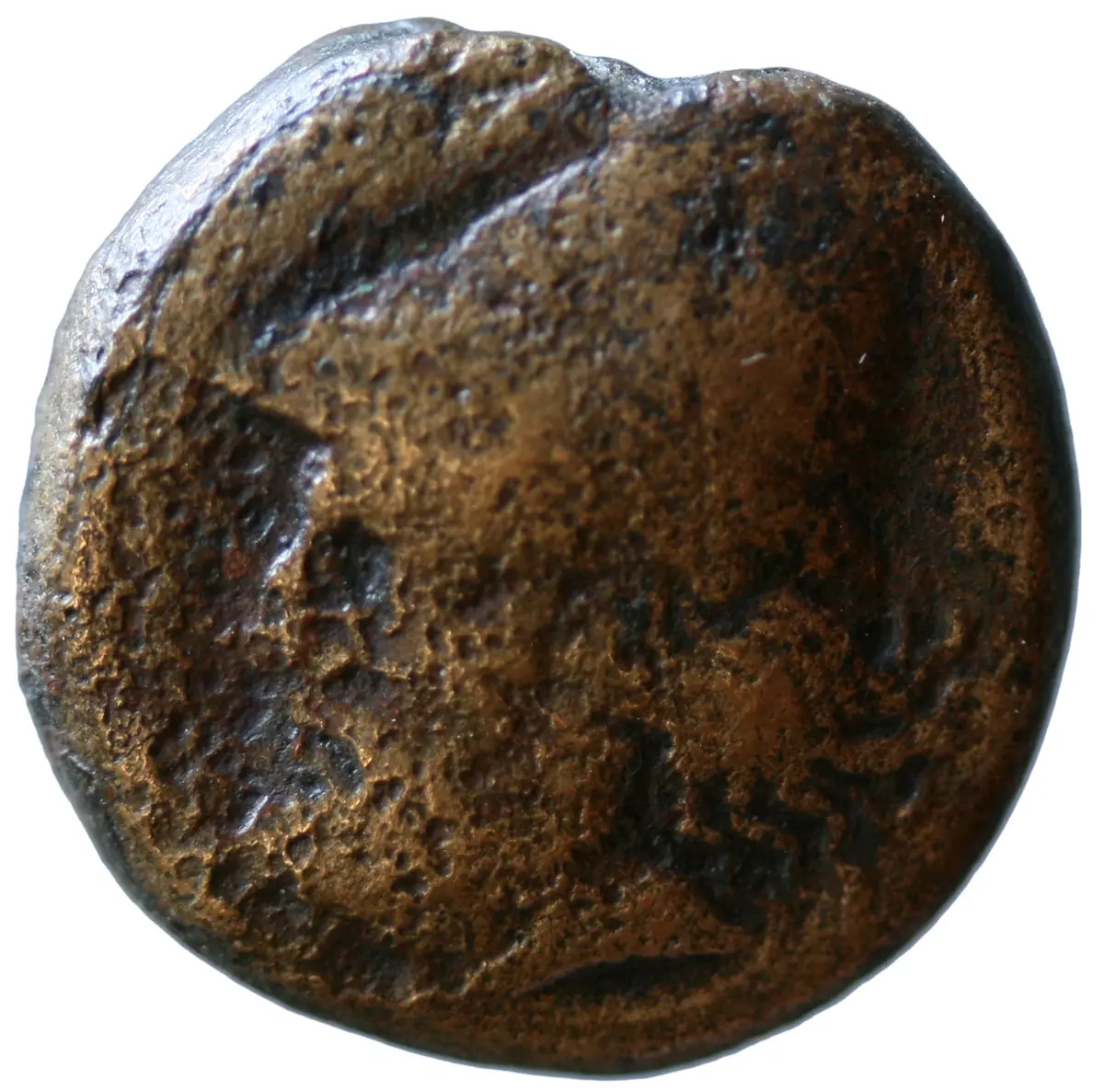 Homolium