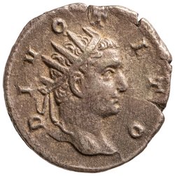 Divus Titus