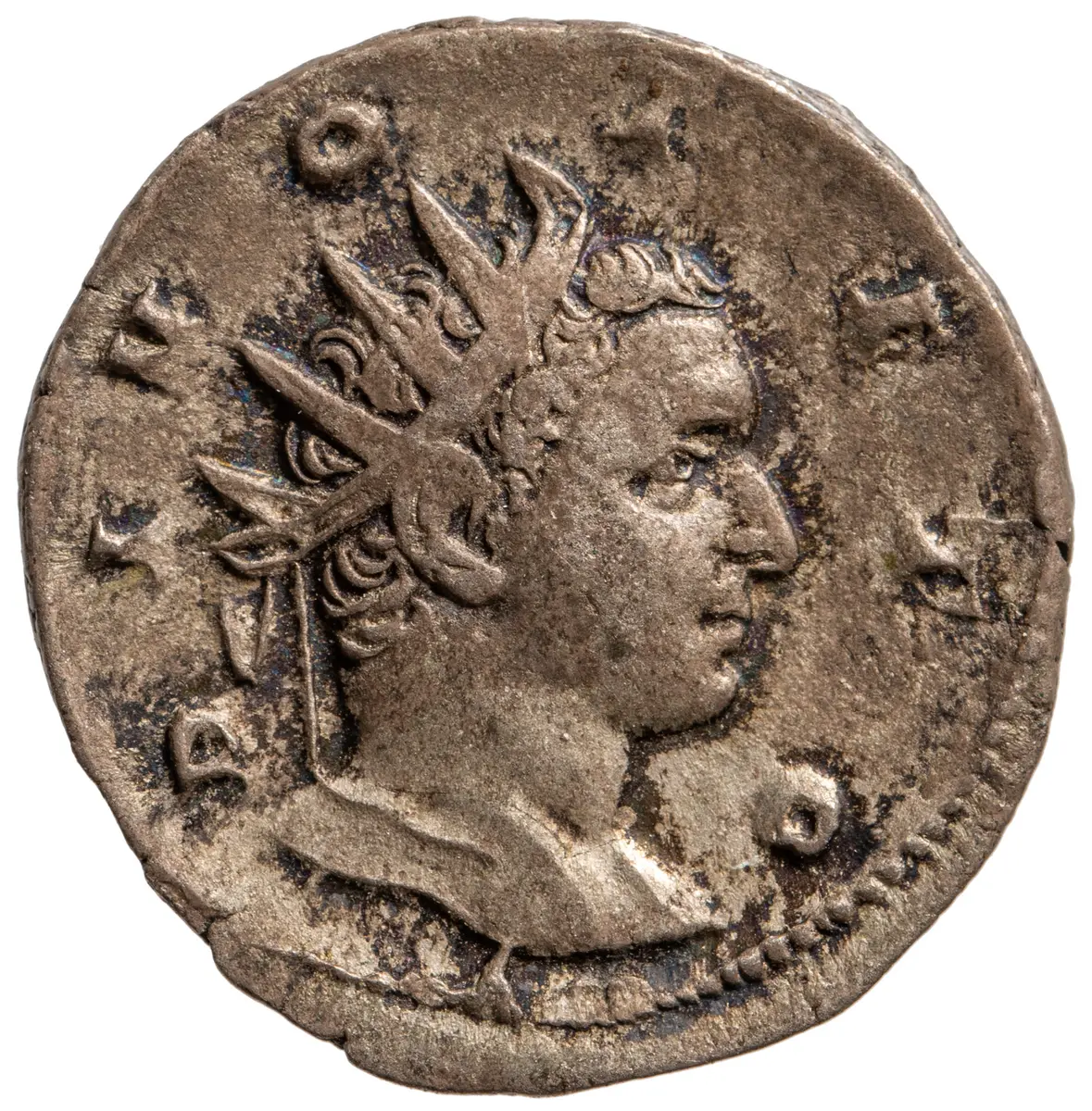 Divus Titus