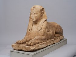 Serapeumssphinx