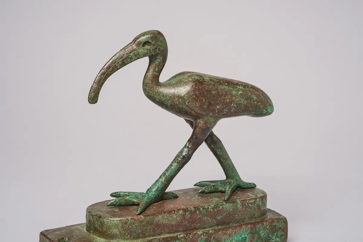 Schreitender Ibis