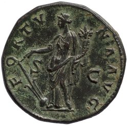 Hadrianus