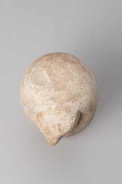 Scheinkanope mit Falkenkopf