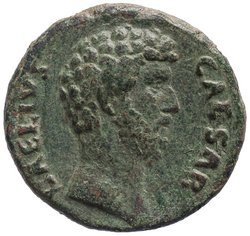 Lucius Aelius