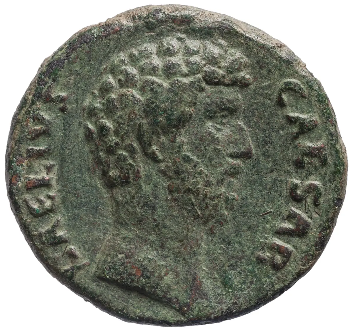 Lucius Aelius