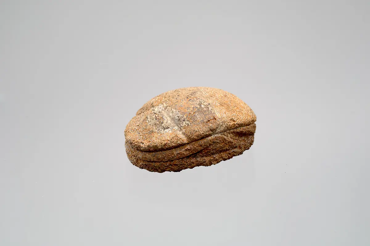 Herzskarabäus