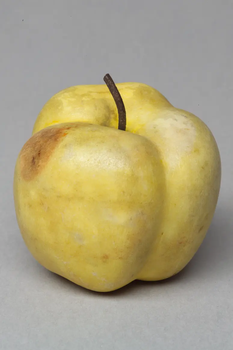 Apfel, Marmorfrucht, Frucht, Marmor, Marmorapfel