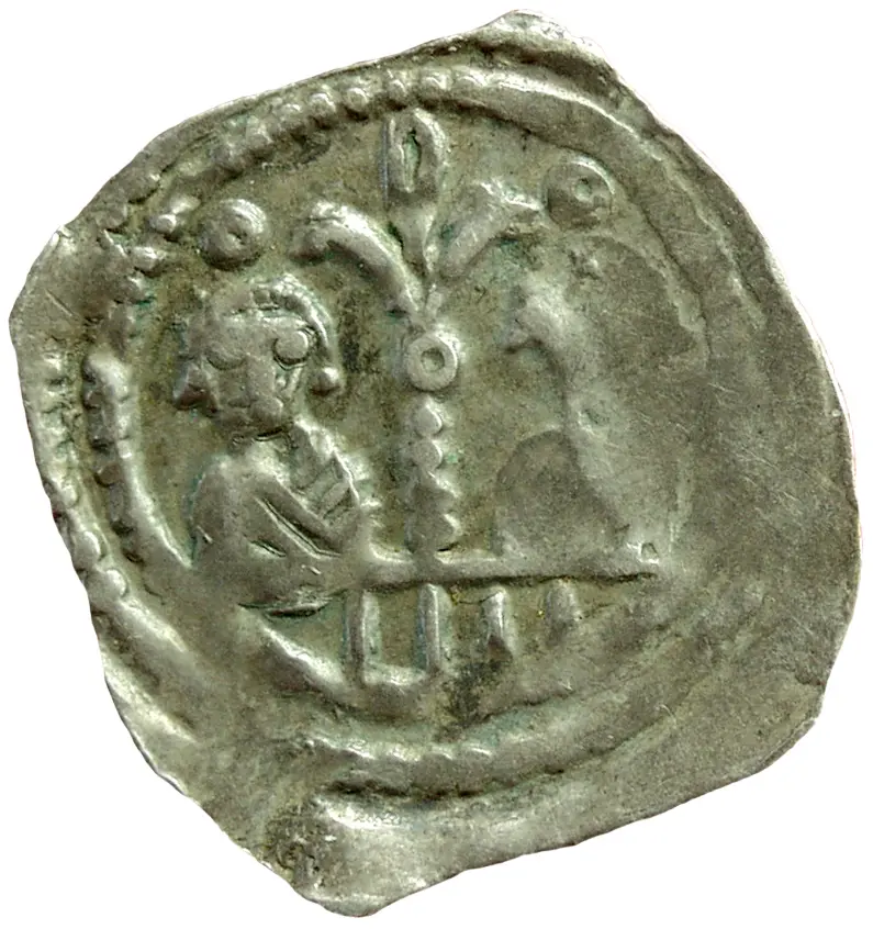 Herzöge von Kärnten / Herren von Krain: Bernhard (1202–1256)