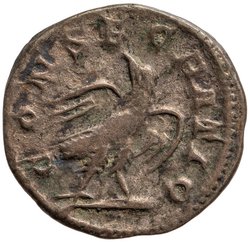 Divus Septimius Severus