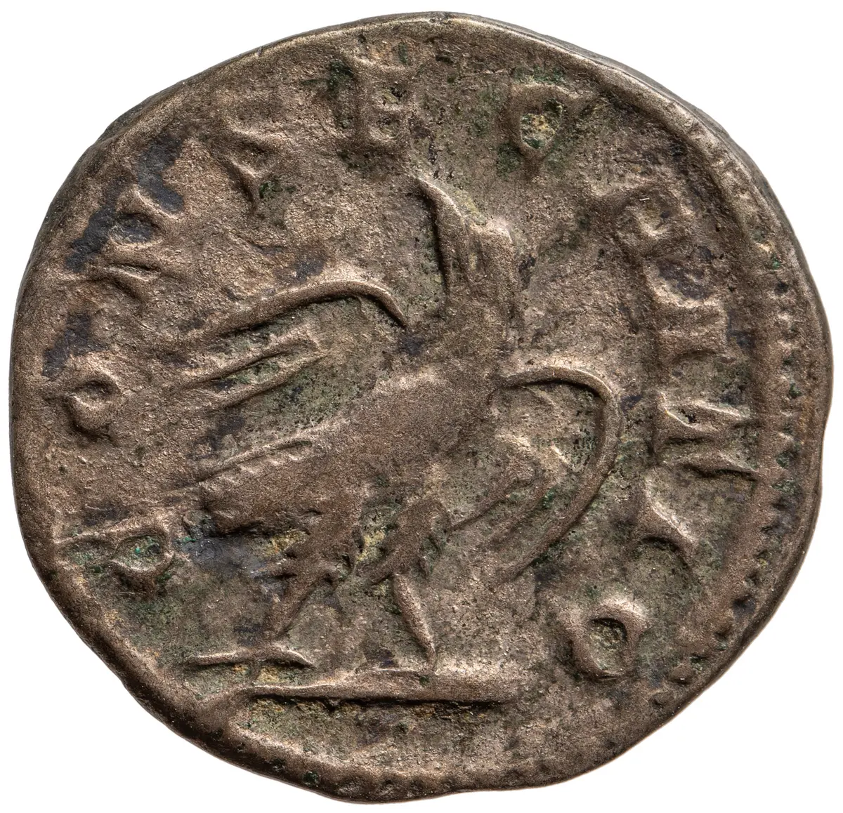 Divus Septimius Severus