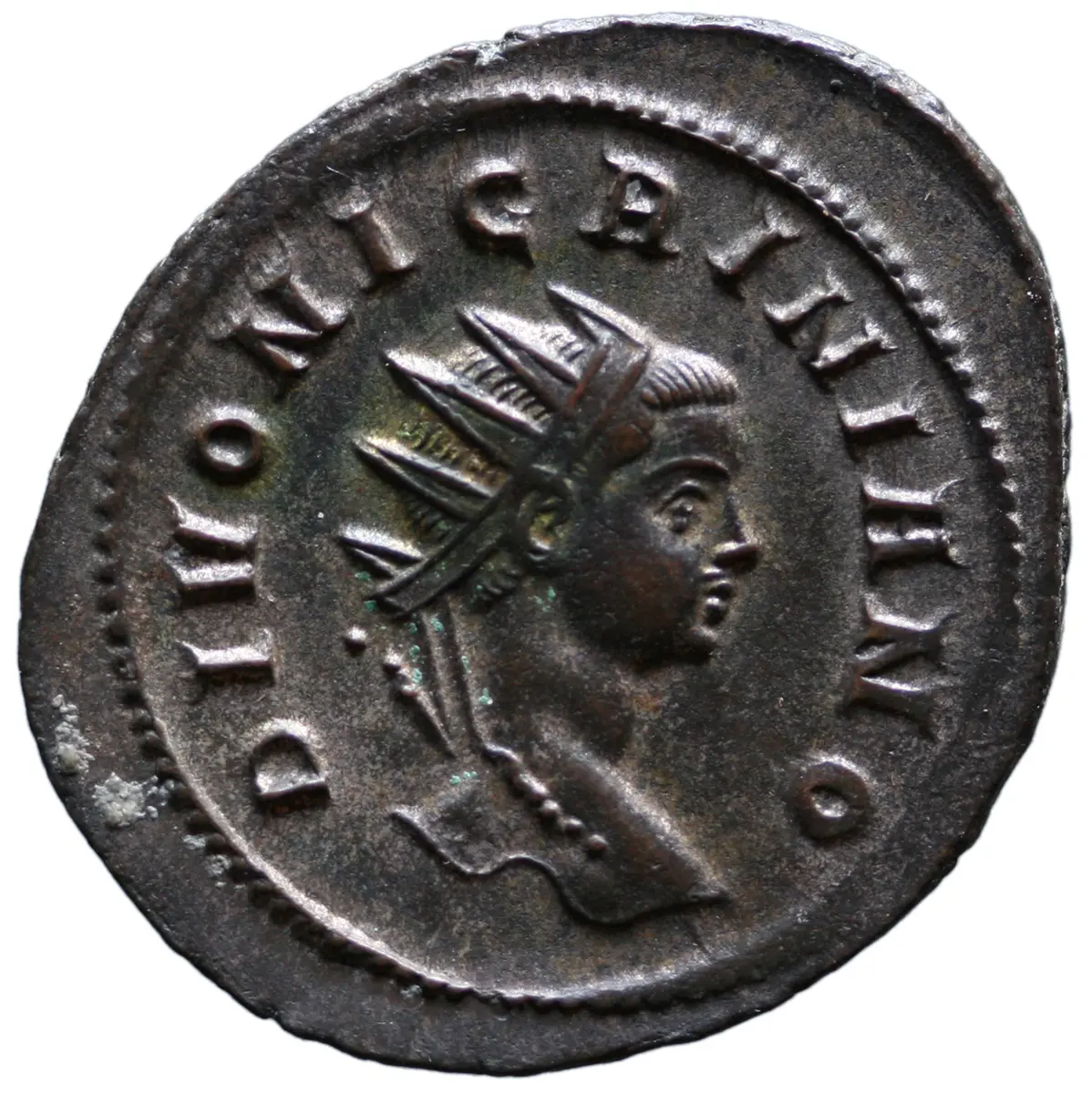 Divus Nigrinianus
