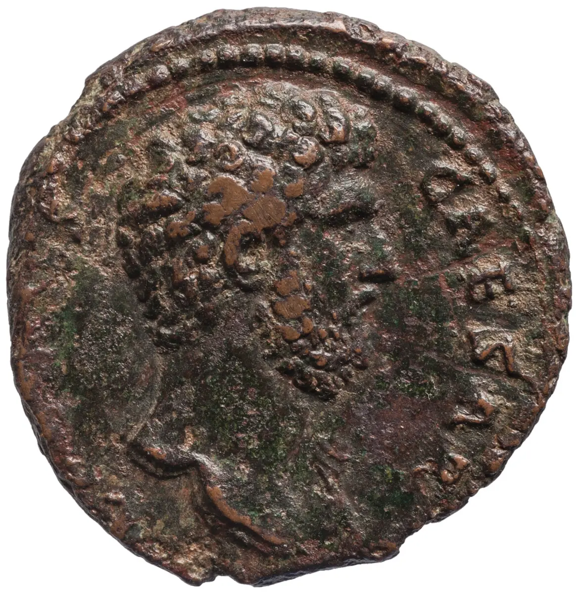Lucius Aelius