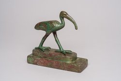 Schreitender Ibis