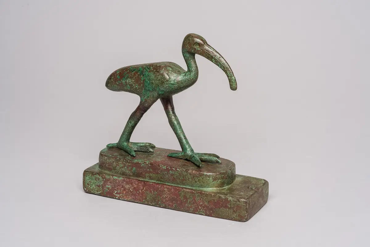 Schreitender Ibis