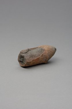 Phallus, fragmentiert