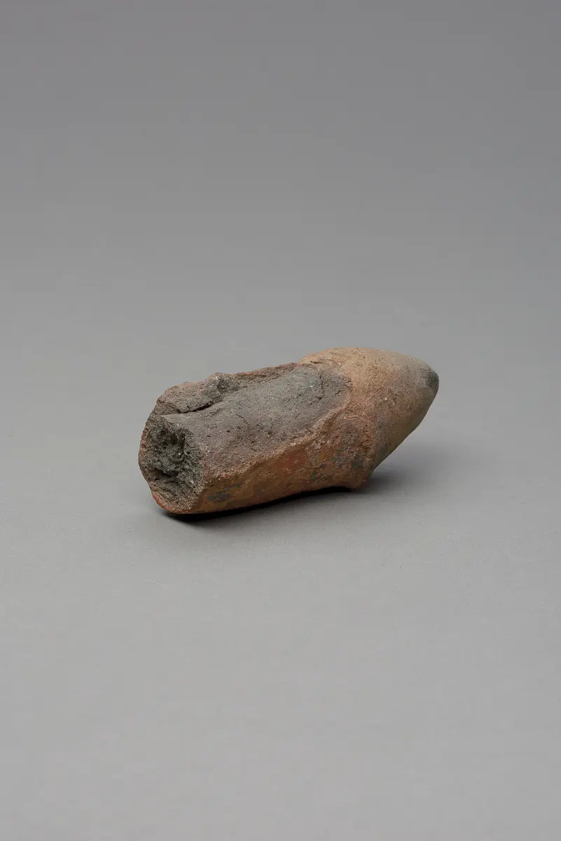 Phallus, fragmentiert
