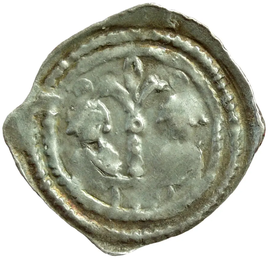 Herzöge von Kärnten / Herren von Krain: Bernhard (1202–1256)