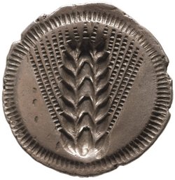 Metapont