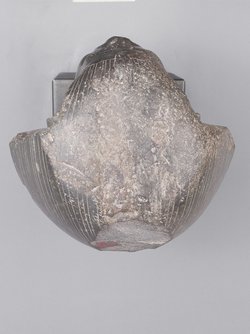 Head from a sphinx of Senwosret III 