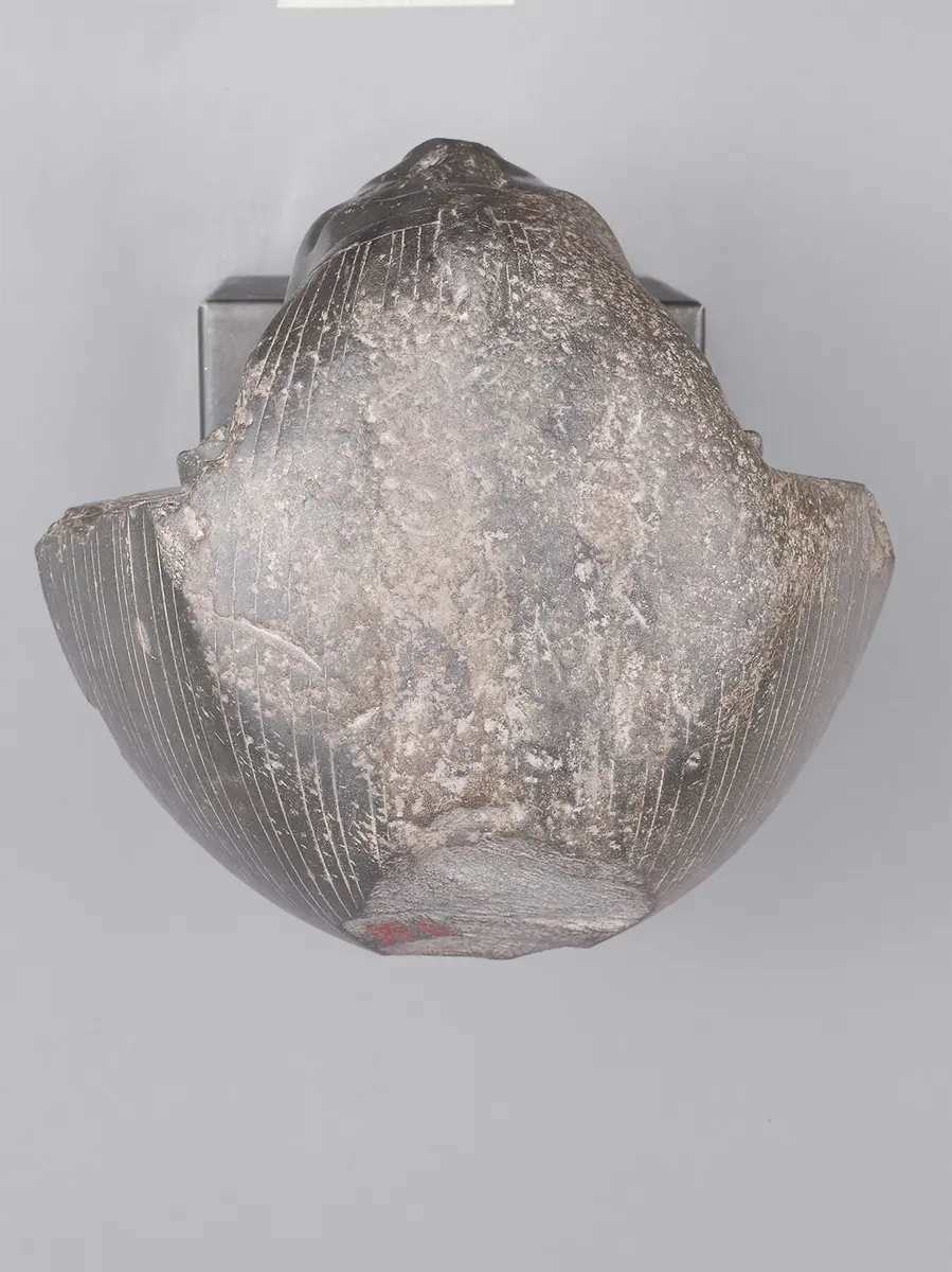 Head from a sphinx of Senwosret III 