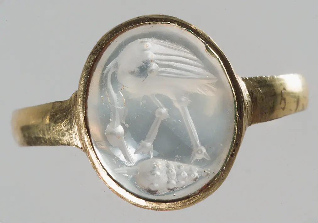 Reiher mit Trompetenmuschel