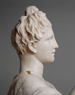 Muse ("Wiener Kore")