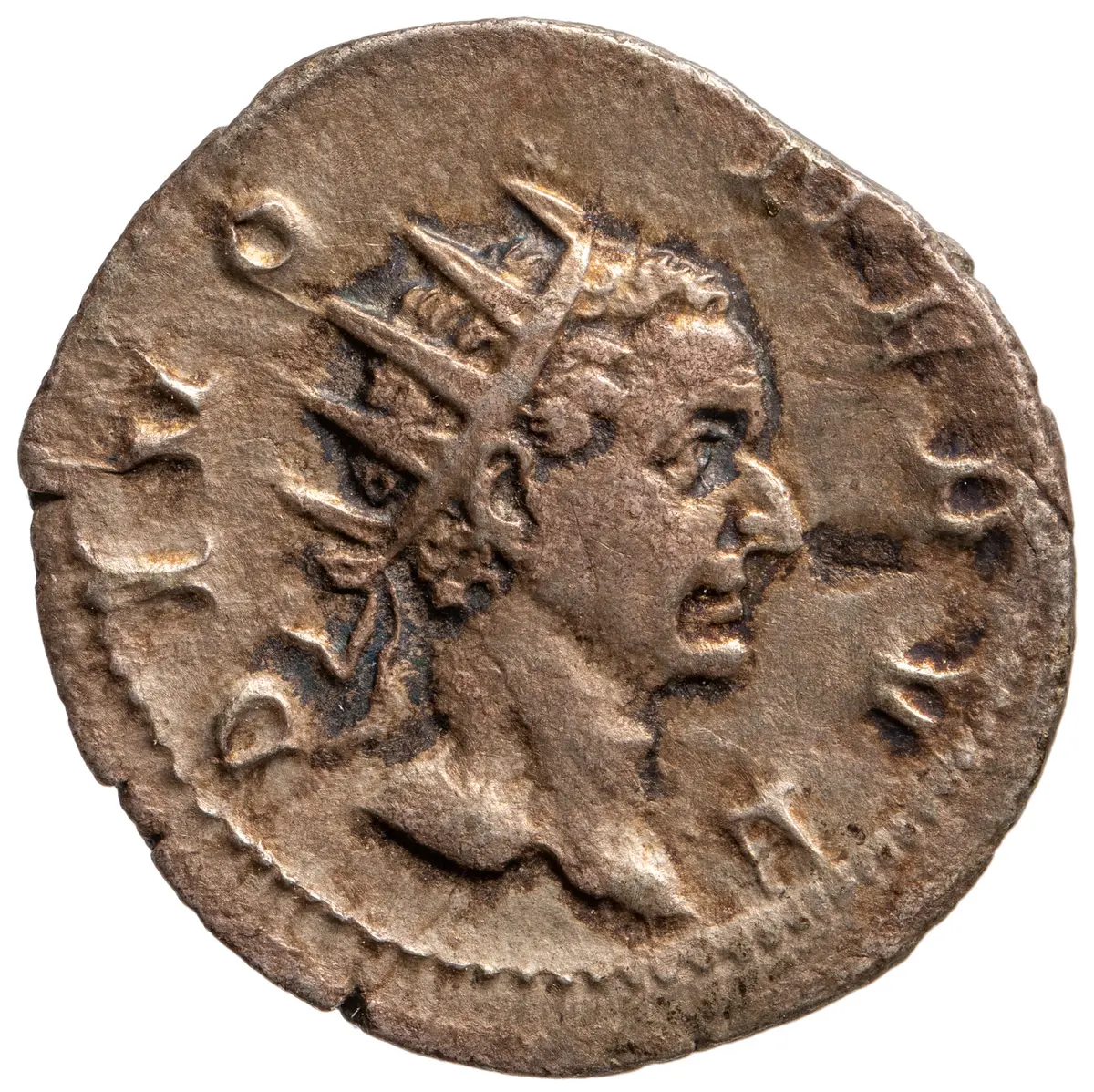 Divus Nerva