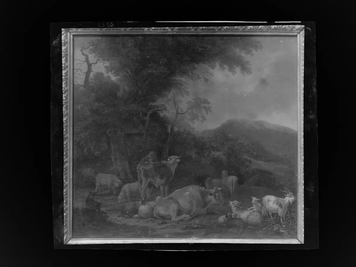 Kühe und Schafe in Landschaft
