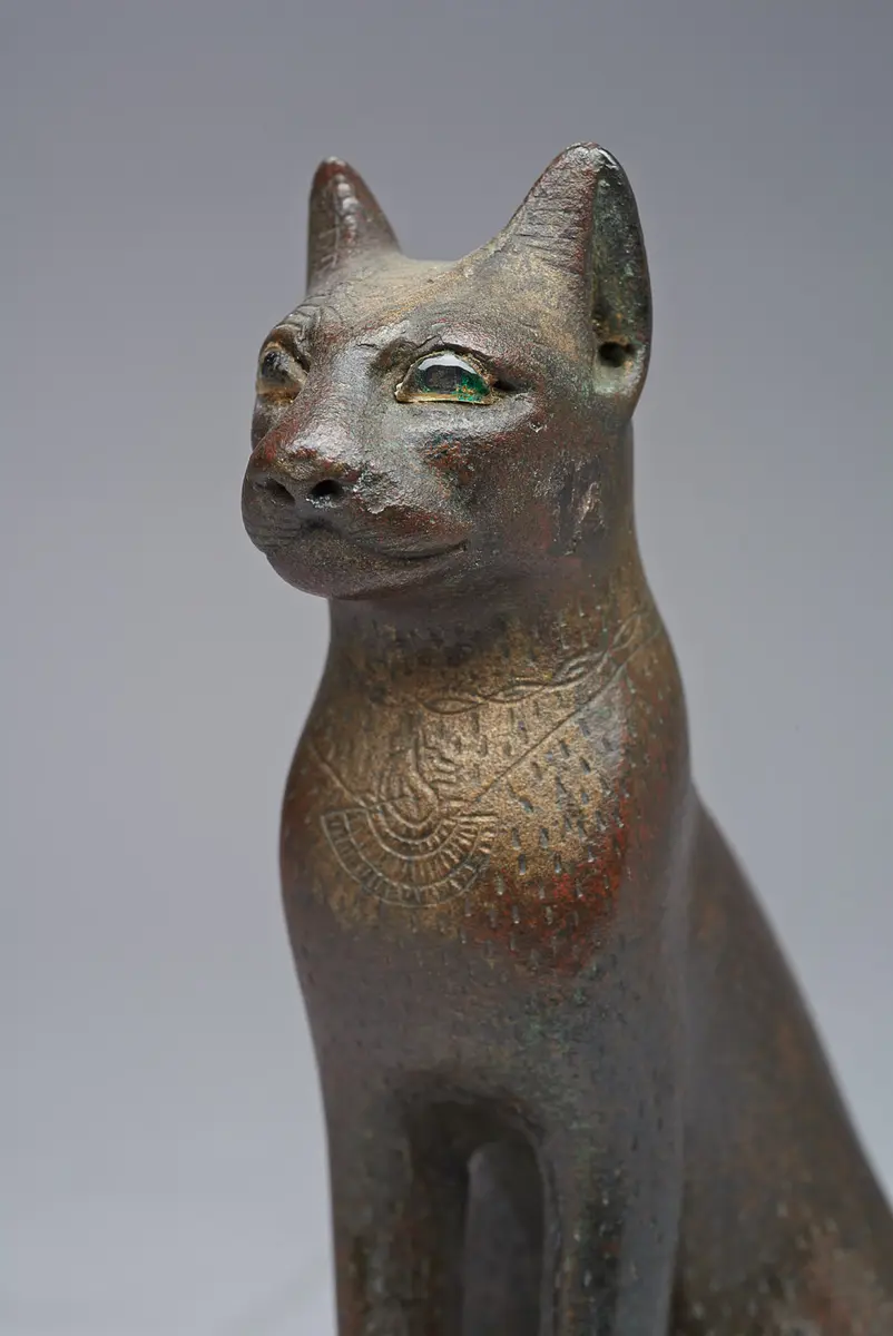 Sitzende Katze