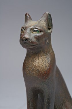 Sitzende Katze