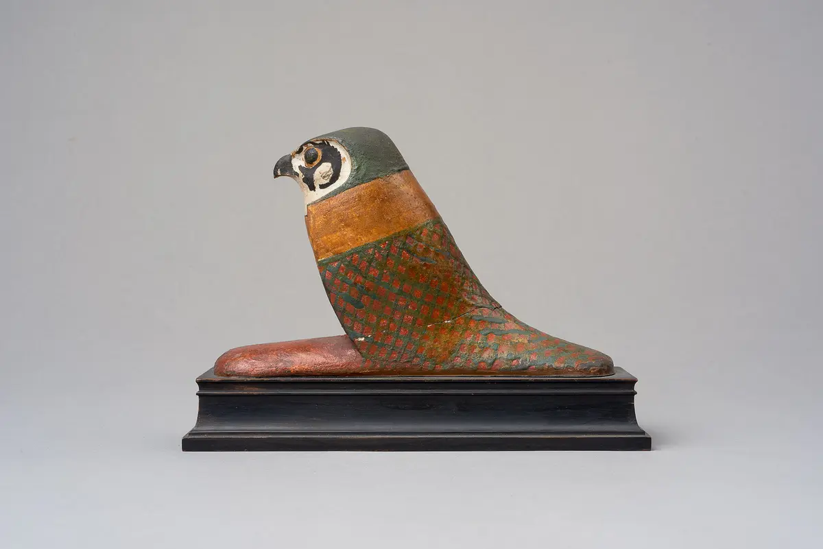 Achom-Falke