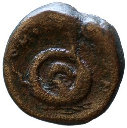Homolium