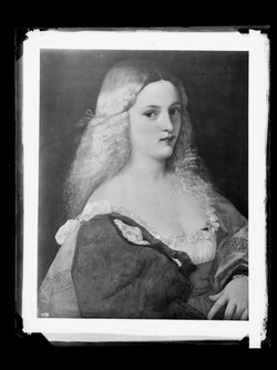 Violante