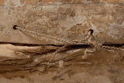 Mumie des Pa-cher-en-chons in Kartonagehülle