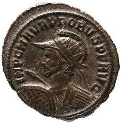 Probus