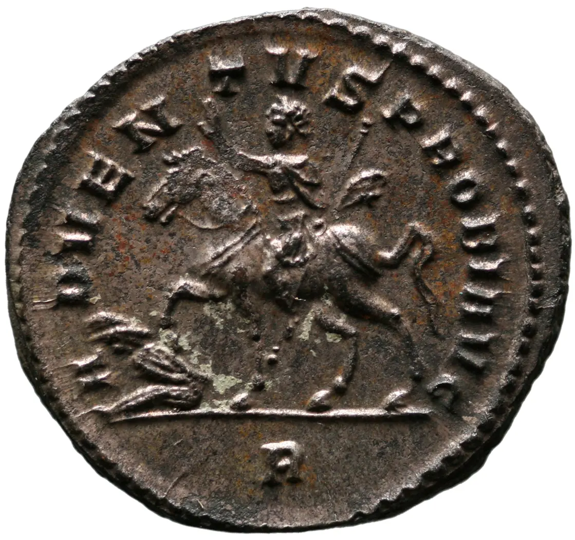 Probus