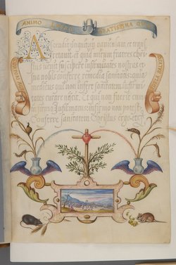 Schriftmusterbuch; 127 Blatt Pergament