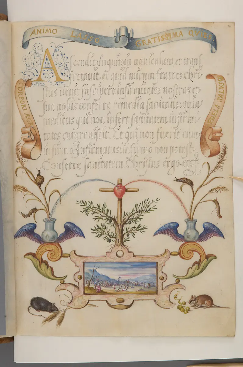 Schriftmusterbuch; 127 Blatt Pergament