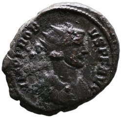 Probus