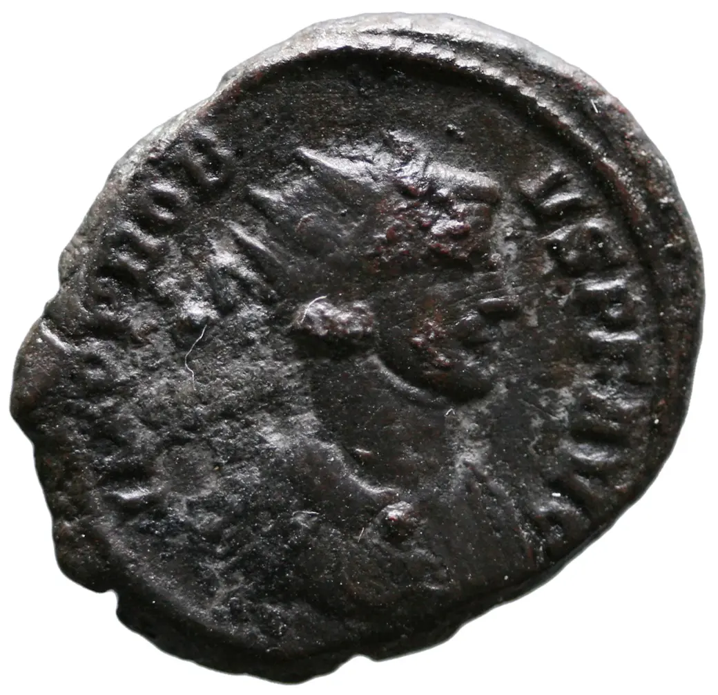 Probus