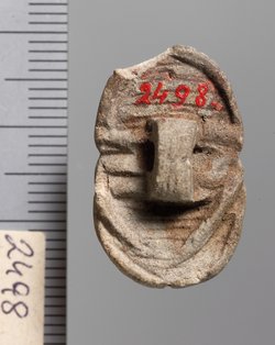 Mumienskarabäus